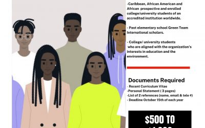 Baileyblog is back! Let’s preserve The Weeping Time Site, Scholarships and more