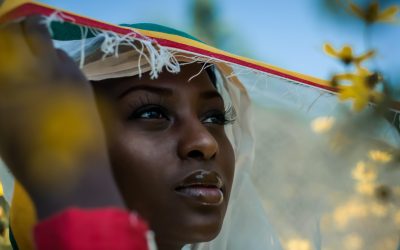 Open Letter and Call for Peace for Ethiopia’s Prime Minister Ahmed from a Diasporan African